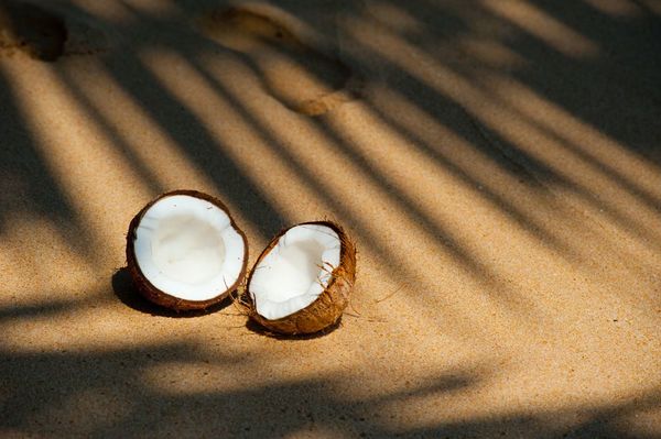 ¿Qué tiene el azúcar de coco que los otros endulzantes no?