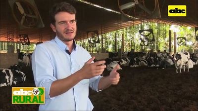 ABC Rural: Problemas en vacas lecheras por falta de confort - ABC Rural - ABC Color