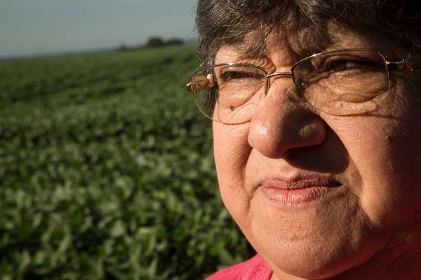 Commodities Sustentable: Sé parte de la plataforma de mujeres líderes