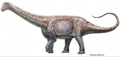 Chile halla especie desconocida de dinosaurio: “Arackar Licanantay” - Ciencia - ABC Color