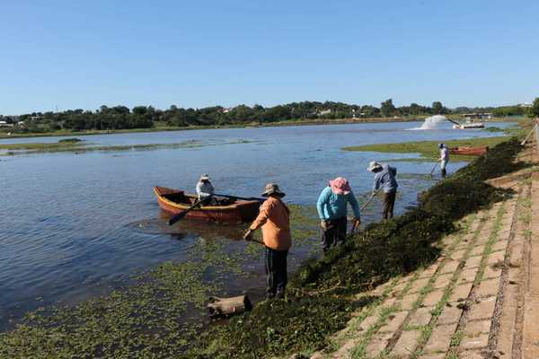 EBY intensifica trabajos de limpieza en sub-embalse de Encarnación y Cambyretá | .::Agencia IP::.