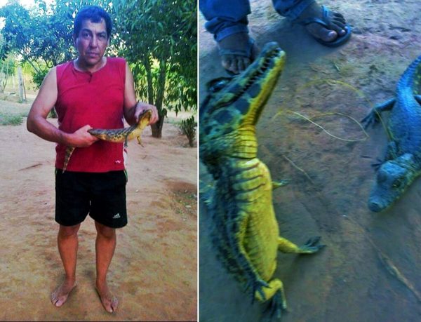 Caaguazú: denuncian maltrato de animales silvestres y falta de respuesta del MADES | OnLivePy