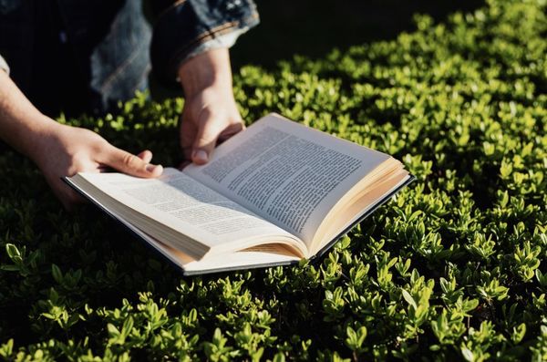 Cinco libros que Book Garden te recomienda por el Día del Libro