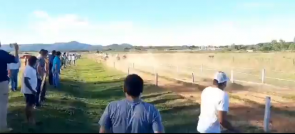 Diario HOY | Intervienen una carrera de caballos con aglomeración de personas en La Colmena