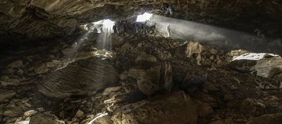 Por primera vez logran secuenciar el ADN de un oso antiguo sin obtener sus restos fosilizados | Ñanduti