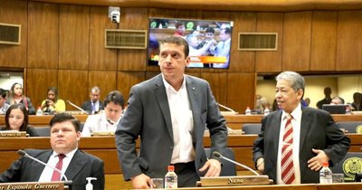 La Nación / Diputados analiza propuesta de posponer las municipales