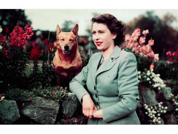 La reina de reinas cumple hoy 95 años