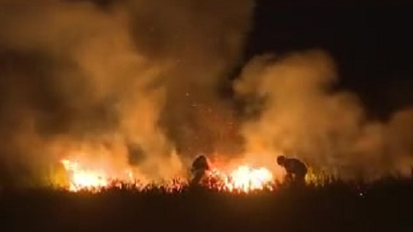 Incendio en el pastizal de la Costanera de Asunción - SNT