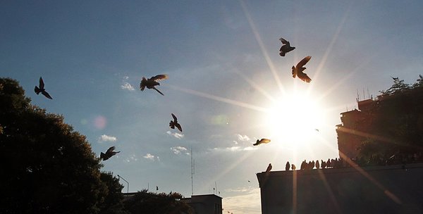 Un miércoles con ambiente cálido a caluroso anuncia Meteorología - ADN Digital