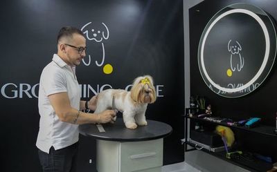 Mercado “pet” en Brasil se dispara pese a la pandemia y la crisis - Mascotas - ABC Color