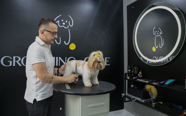Mercado “pet” en Brasil se dispara pese a la pandemia y la crisis - Mascotas - ABC Color
