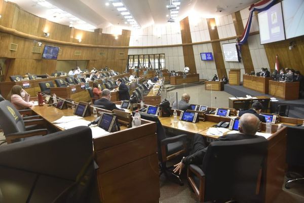Los votos que “volcaron” la balanza a favor del uso de fondos sociales - Nacionales - ABC Color