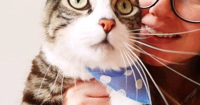 La Nación / Las mascotas mantienen su reinado en un Brasil pandémico