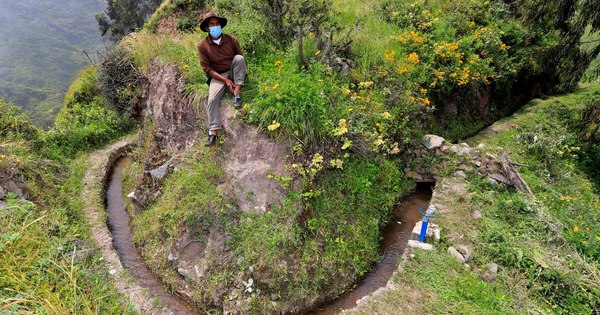 La Nación / En las altas montañas de Lima se ‘siembra el agua’ con ingeniería prehispánica