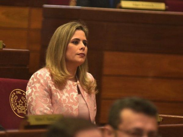 Presión quebró al cartismo y ley de binacionales se aprobó en Diputados