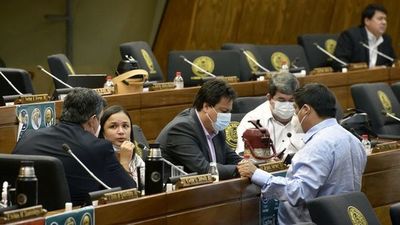 “Nano” retiró su proyecto y cayó en contradicción - Nacionales - ABC Color