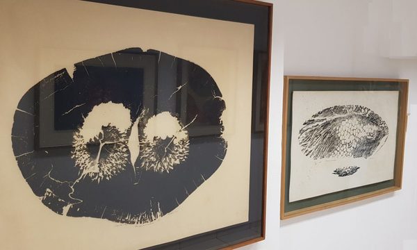 Muestra de Edith Jiménez en Fábrica Galería/Club de Arte