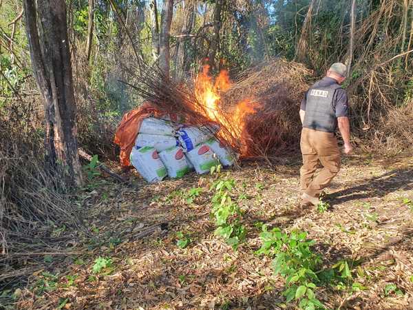 Destruyen más de 3 mil kilos de marihuana en Yhú - Noticiero Paraguay