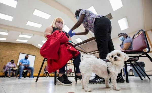 Diario HOY | Veterinarios acusados en Chile de usar vacuna anticovid para perros en 75 personas