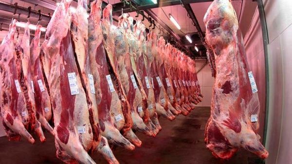 Carne paraguaya ingresará al prestigioso mercado de Turquía