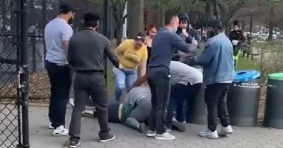 Matan a gato estrella de Instagram tras ataque en grupo contra su dueña - C9N
