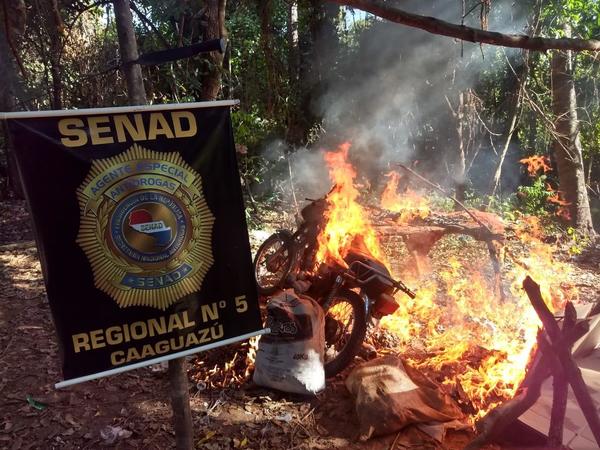 En operativos interinstitucionales destruyeron más de 3 toneladas de Marihuanas – Prensa 5