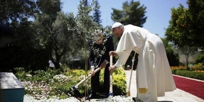 Diario HOY | El papa urge a los líderes a proteger el planeta: "Estamos en el límite"