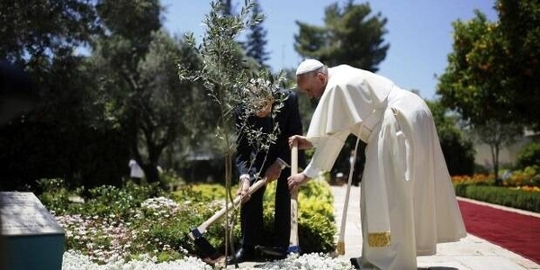 Diario HOY | El papa urge a los líderes a proteger el planeta: "Estamos en el límite"