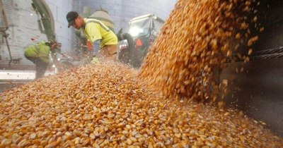 La Nación / Las exportaciones tienen a Brasil como principal mercado en el primer trimestre