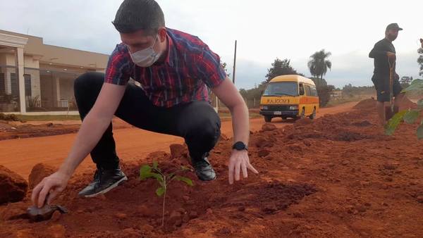 Cultivan 300 plantines de lapacho en el km 10