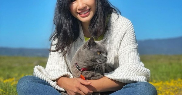 La Nación / A causa de una pelea callejera falleció Ponzu, el hermoso y afamado felino de Instagram