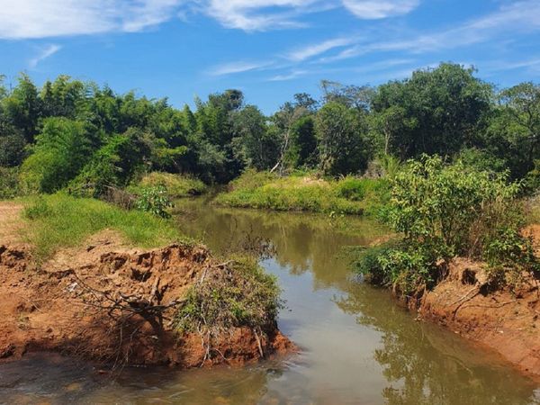 Denuncian desvío de arroyo y grave delito ambiental en San Pedro del Paraná
