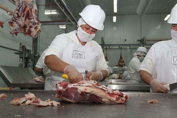 La carne paraguaya se lista para ingresar al mercado de Turquía | .::Agencia IP::.