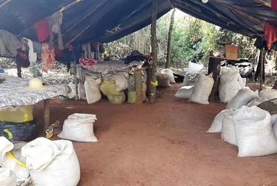 Detectan un centro de acopio de marihuana