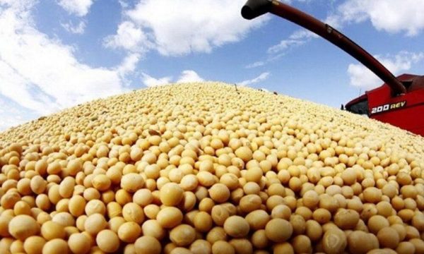 Aumento de precio internacional de soja ayudará tranquilizar finanzas del campo, destacan productores