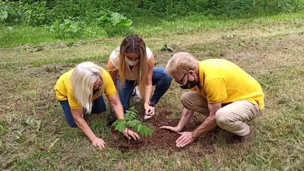 A todo Pulmón lleva a cabo masiva jornada de plantación de árboles en Caraguatay
