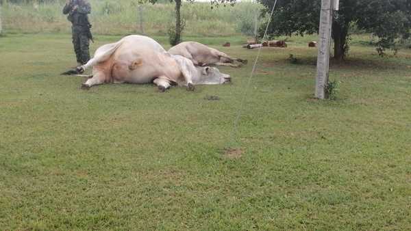 Atacaron estancia en Paso Barreto