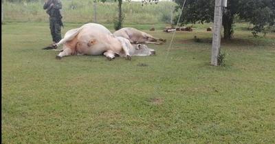 Responsables del ataque a estancia en Paso Barreto podrían ser miembros del ACA