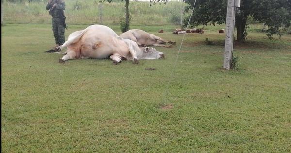 Responsables del ataque a estancia en Paso Barreto podrían ser miembros del ACA