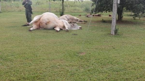 Ataque a estancia en Paso Barreto – Prensa 5