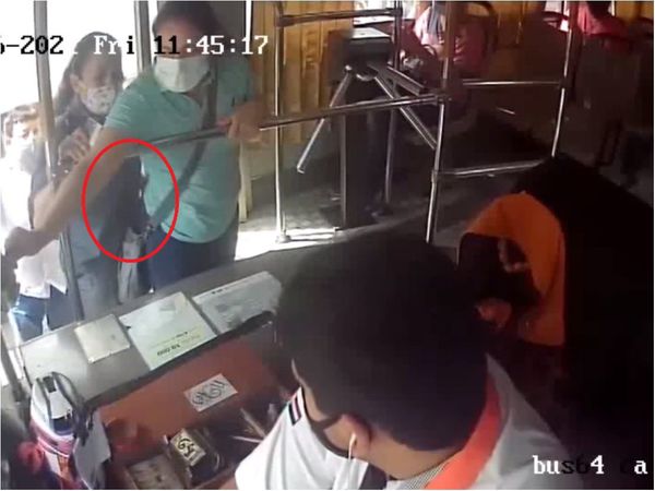 Filman a descuidista que robó celu en un micro