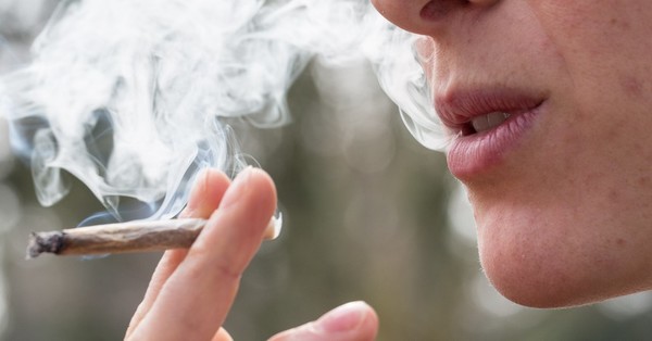 Cuánto duran los efectos de la marihuana según la ciencia - SNT