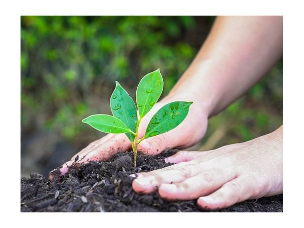 Firman convenio de cooperación para fortalecer la educación agraria