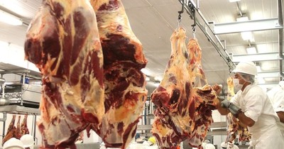 La Nación / Consistente aumento en la demanda de carne bovina motiva suba de precio interno