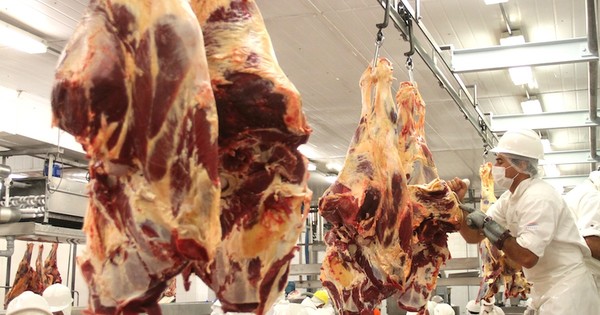 La Nación / Consistente aumento en la demanda de carne bovina motiva suba de precio interno