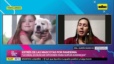 Estrés de las mascotas por pandemia - Ensiestados - ABC Color