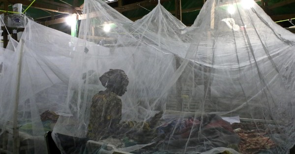 La Nación / Temer más al paludismo que al COVID-19 en Venezuela