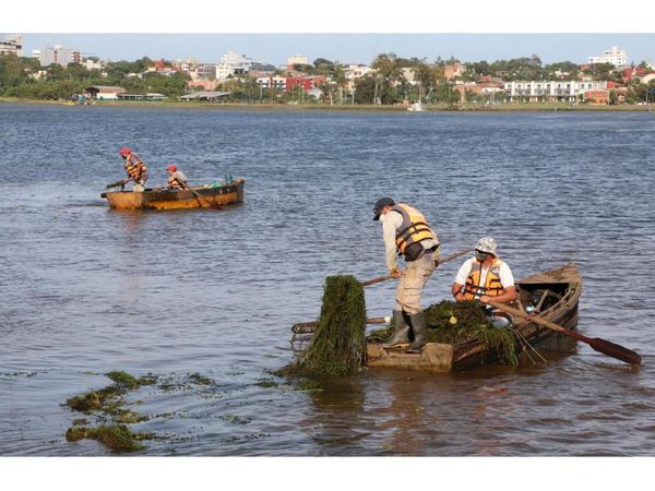 Itapúa: En zona de embalse retiraron camalotes y algas