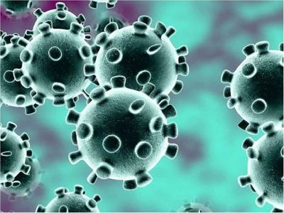 Científicos hallan una proteína que ayuda a la propagación Covid-19