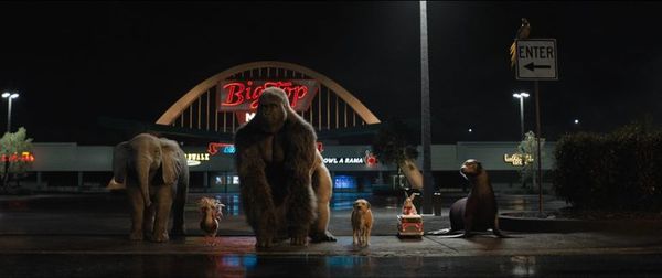 Una película en directo: Así serán los Óscar de la pandemia - Mundo - ABC Color